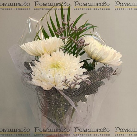 Белые хризантемы за 1 730 - «Ромашково» в Красноярске