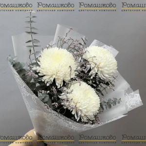 Превью Букет из белых хризантем «Белый танец»