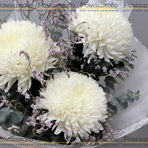 Превью Букет из белых хризантем «Белый танец»