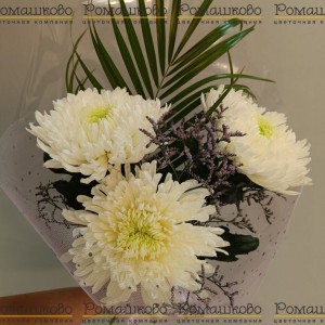 Превью Букет из белых хризантем «Принцесса»