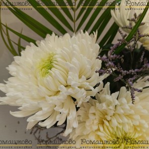 Превью Букет из белых хризантем «Принцесса»