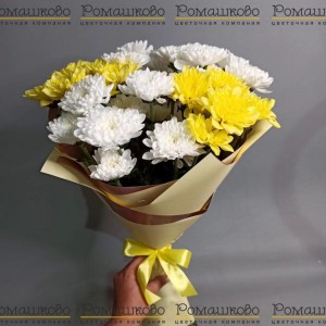 Превью 5 Бело-желтых хризантем