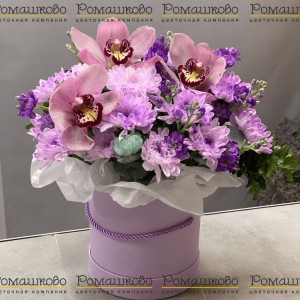 Превью Букет из орхидей «Темная ночь»