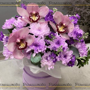 Превью Букет из орхидей «Темная ночь»