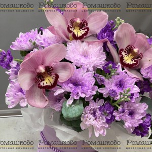 Превью Букет из орхидей «Темная ночь»