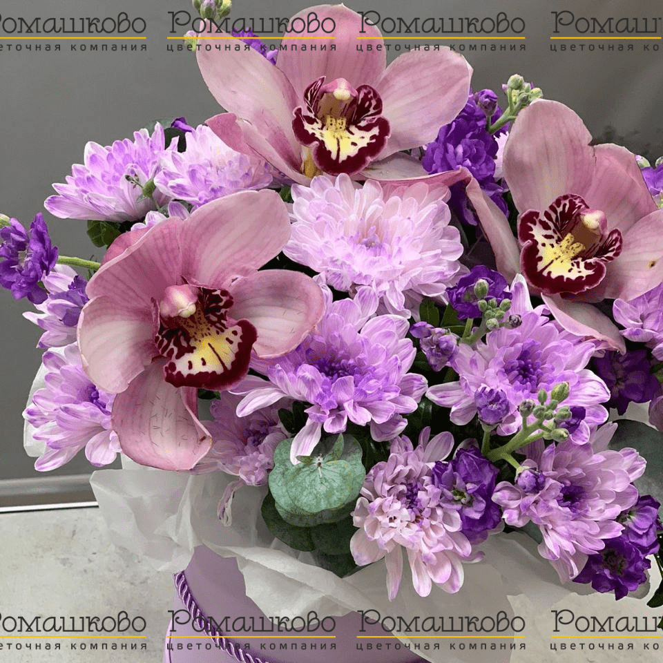 Букет из орхидей «Темная ночь»