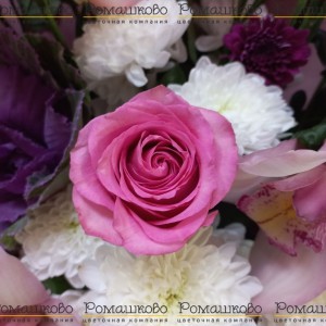 Превью Букет из орхидей «Любимой маме»