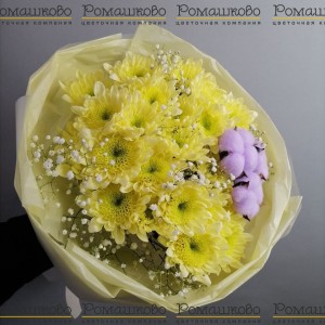 Превью Букет из хризантемы «Рио»