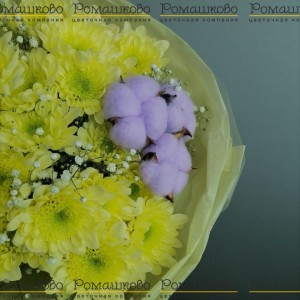 Превью Букет из хризантемы «Рио»