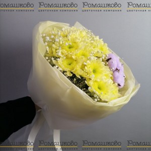 Превью Букет из хризантемы «Рио»