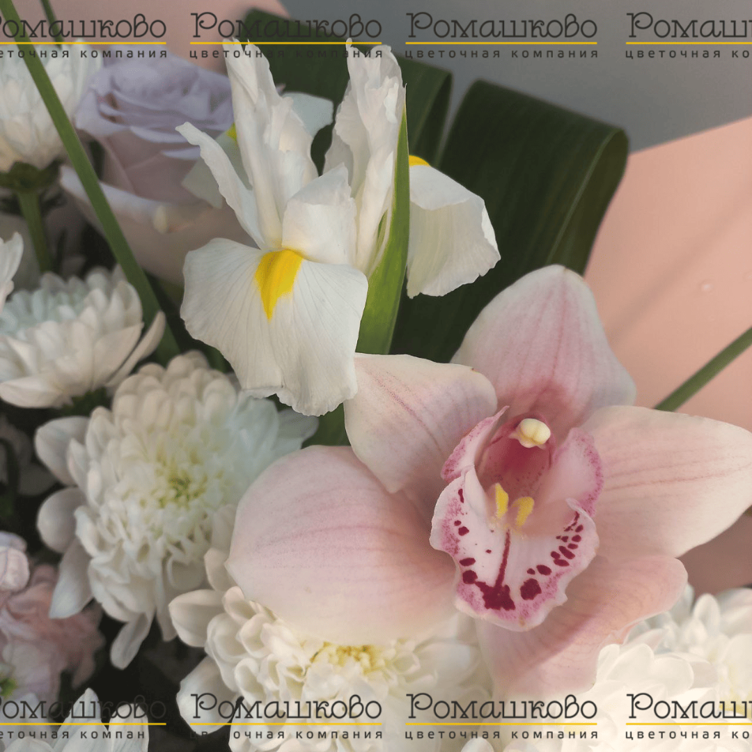 Букет из орхидей «Спеши любить»