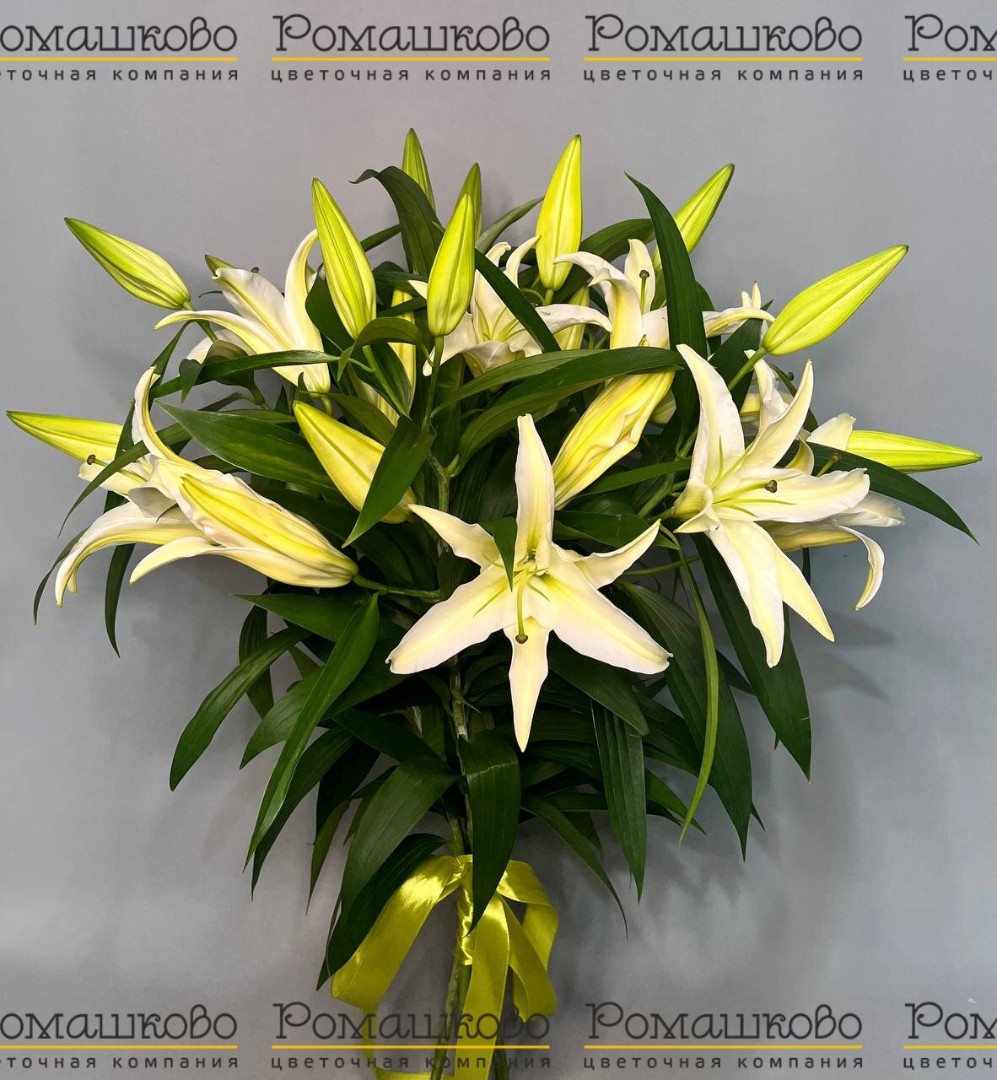 Букет из лилий «Фиеста»