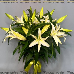 Превью Букет из лилий «Фиеста»