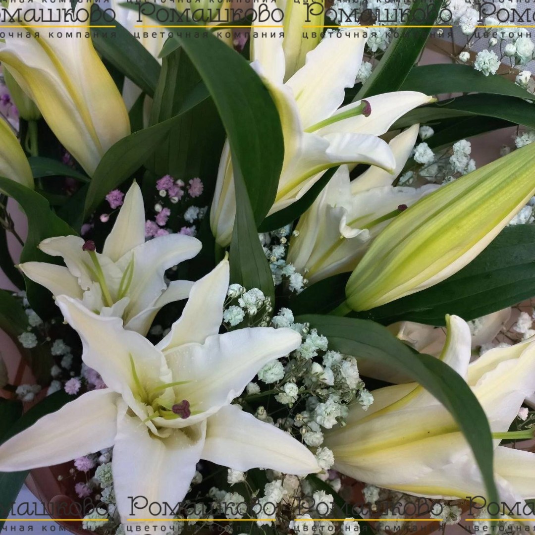 Букет из лилий «Песня любви»