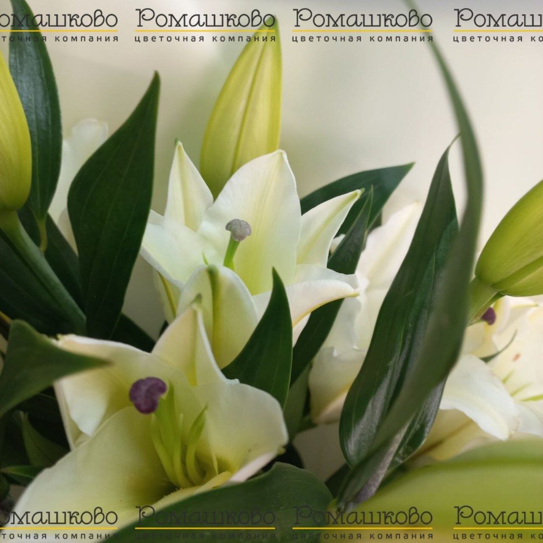 Букет из лилий «На безымянной высоте»