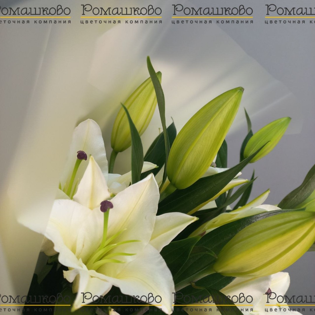 Букет из лилий «На безымянной высоте»