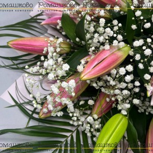 Превью Букет из лилий «Холодное танго»