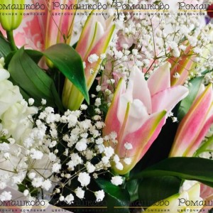 Превью Букет из лилий «Афродита»