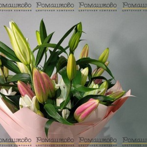 Превью Букет из лилий «Алиса в стране чудес»