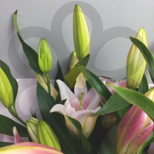 Превью Букет из лилий «Лунная соната»