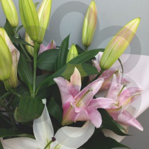 Превью Букет из лилий «Лунная соната»