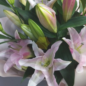 Превью Букет из лилий «Лунная соната»