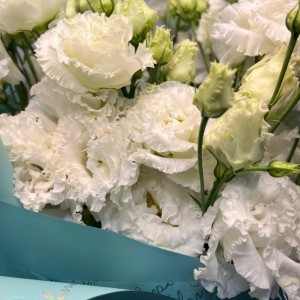 Превью Букет из эустом «Белые облака»