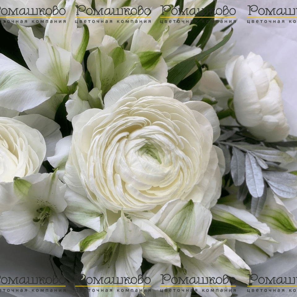 Букет из ранункулюсов «Мечтатели»