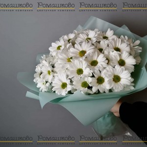 Превью Букет из ромашек «Любит не любит»