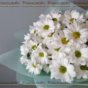 Превью Букет из ромашек «Любит не любит»