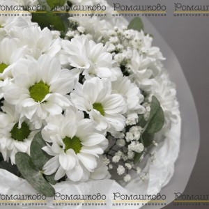 Превью Букет из ромашек «Любит не любит»