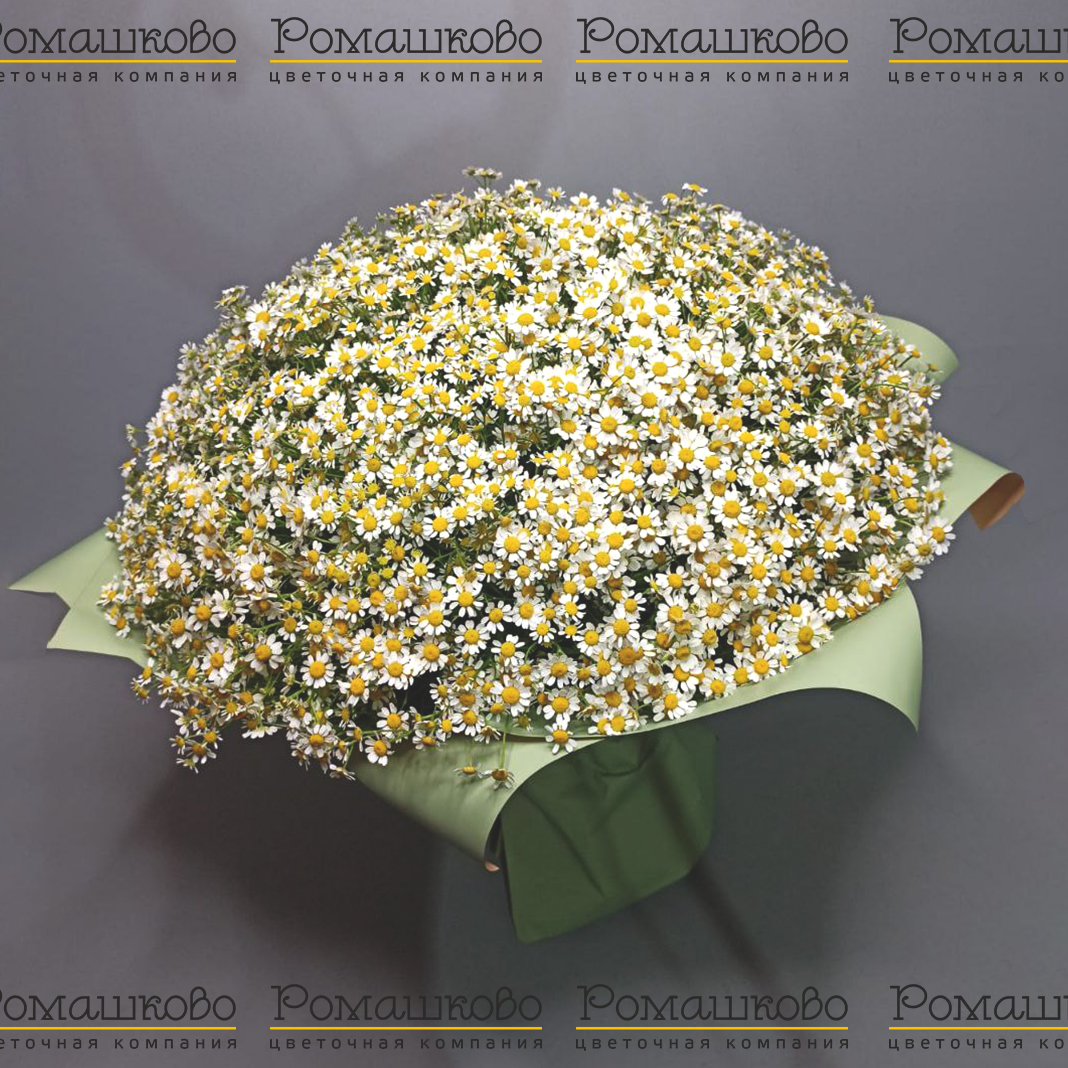 Букет из ромашек «Запах лета»