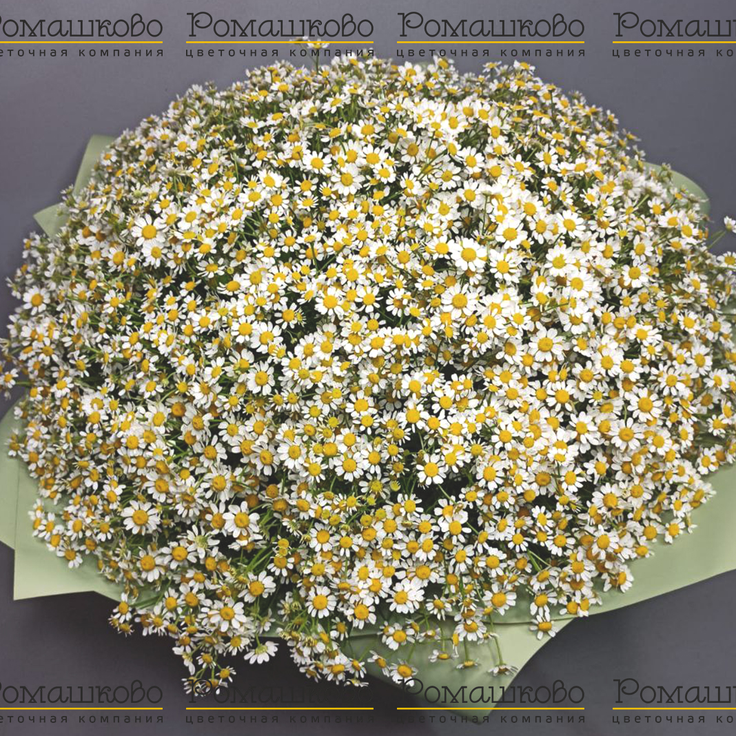 Букет из ромашек «Запах лета»