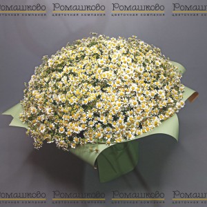 Превью Букет из ромашек «Запах лета»