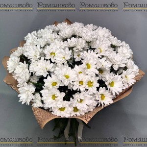 Превью Букет из ромашек «Гадание на чувства»