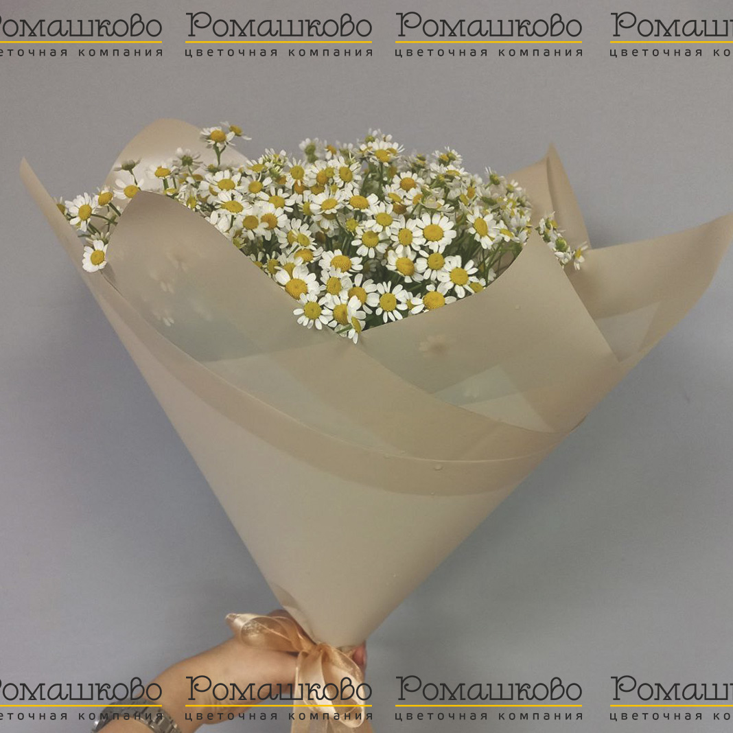 Букет из ромашек «Куда приводят мечты»