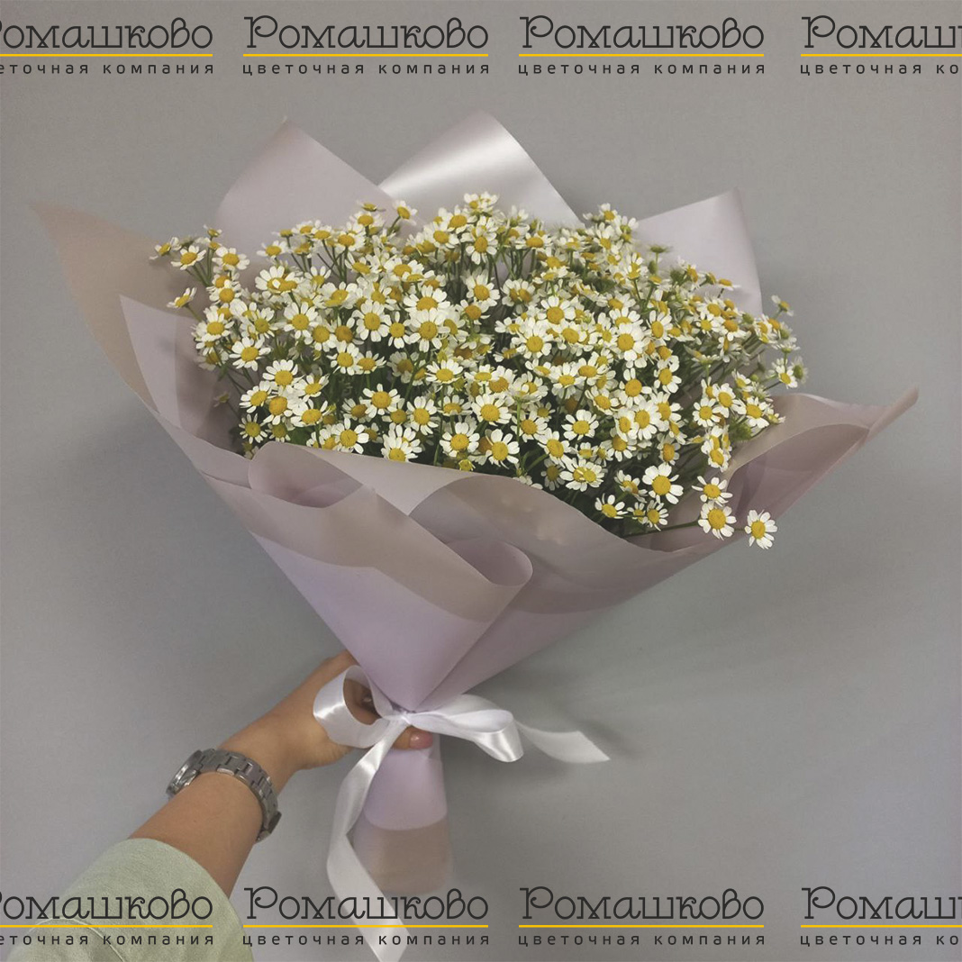 Букет из ромашек «Куда приводят мечты»