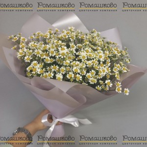 Превью Букет из ромашек «Куда приводят мечты»