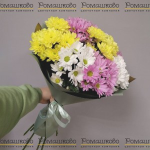 Превью Букет из хризантем «Три товарища»