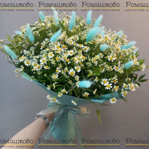 Превью Букет из ромашек «Эх дороги»