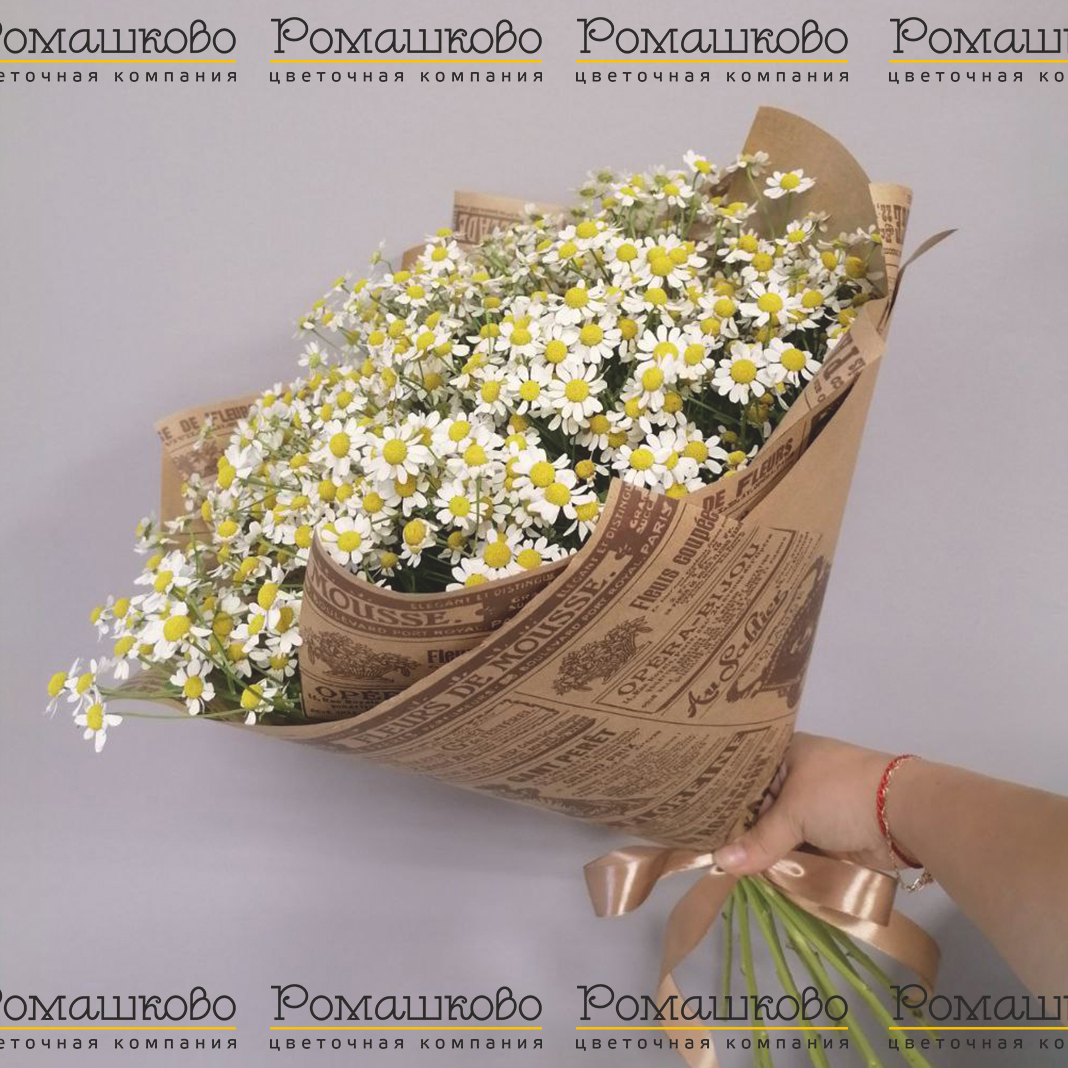 Букет из ромашек «Признание в любви»