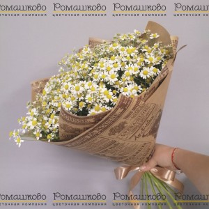 Превью Букет из ромашек «Признание в любви»