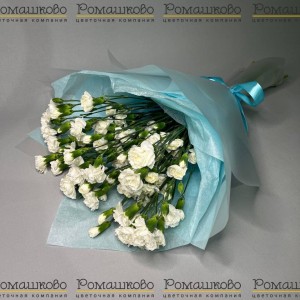 Превью Букет из гвоздик «Текила»