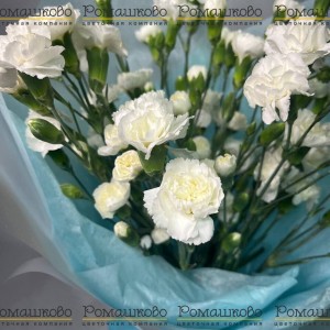 Превью Букет из гвоздик «Текила»