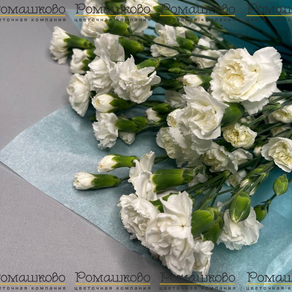 Букет из гвоздик «Текила»