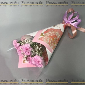 Превью Букет из гвоздик «Хорошее настроение»