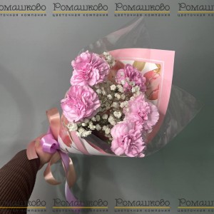 Превью Букет из гвоздик «Хорошее настроение»