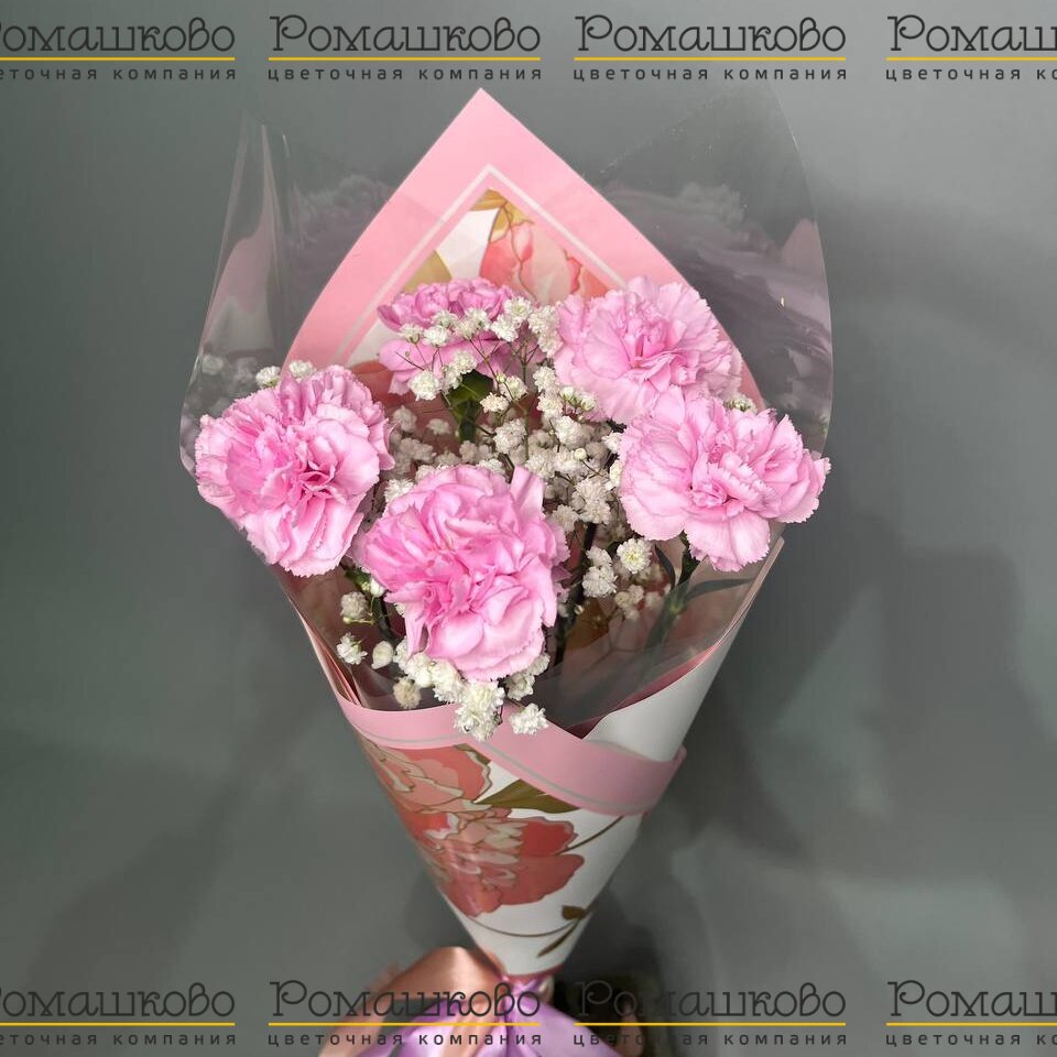 Букет из гвоздик «Хорошее настроение»