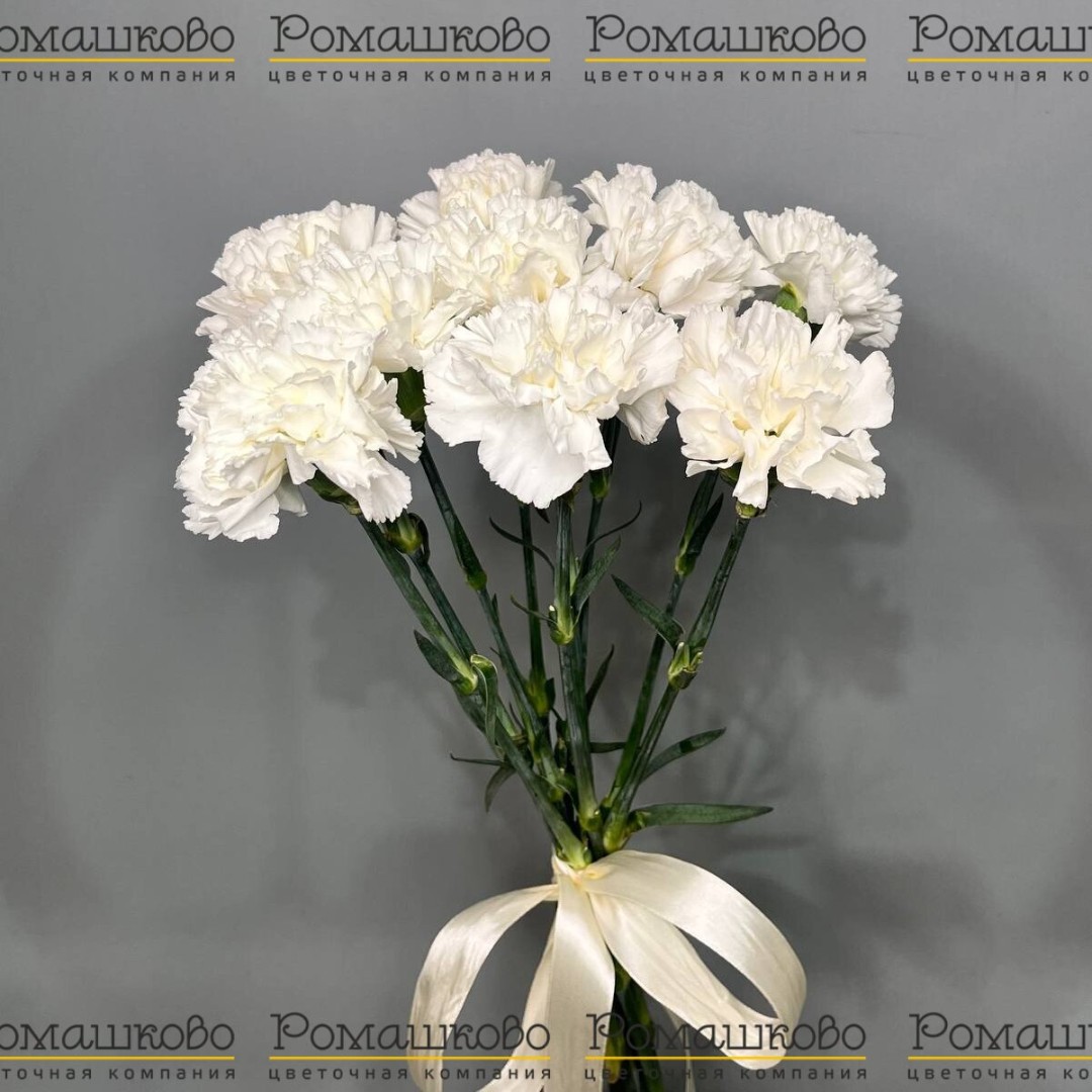 Букет из гвоздик «Катюша»