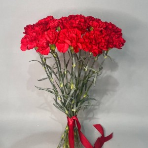 Превью Букет из гвоздик «Вечный огонь»